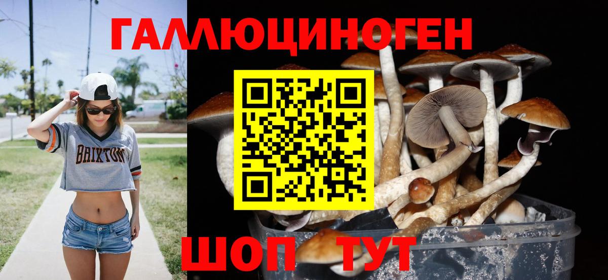 Абинск  Галлюциногенные грибы мицелий  купить   Вход с VPN 